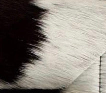 Legend Cow Print Clutch